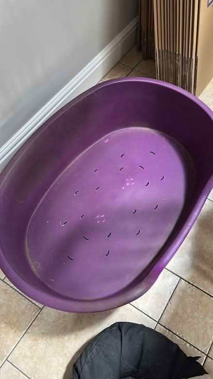 Photo of free Large plastic dog bed (Chiswell Green) #1