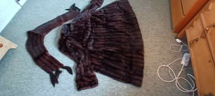 Photo of free fur coat (Edinburgh EH4) #2