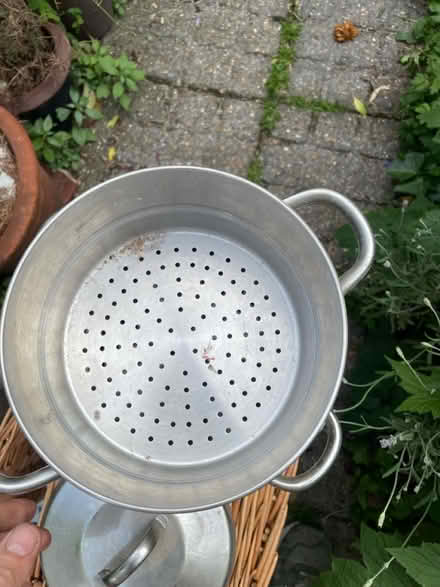 Photo of free Steamer (Lee green) #3