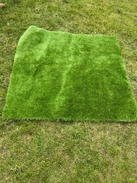 Photo of free Fake grass (CT10) #1