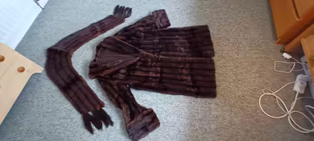 Photo of free fur coat (Edinburgh EH4) #1