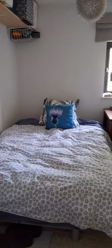 Photo of free Double sofa bed (Rode) #2