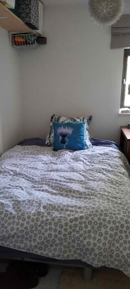 Photo of free Double sofa bed (Rode) #2