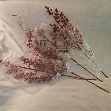 Photo of free Red floral picks (Rosedale) #1