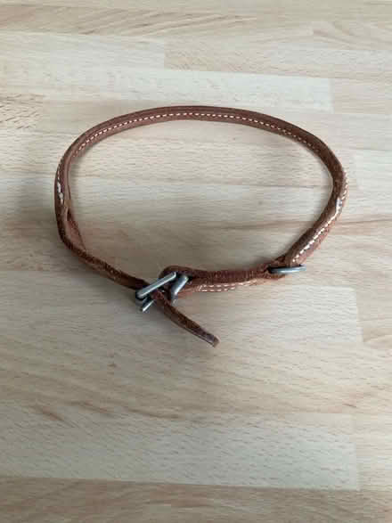 Photo of free Dog collar (Northcourt OX14) #1