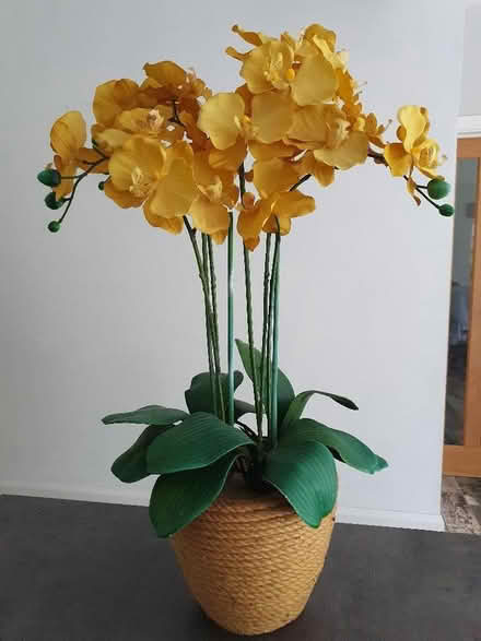 Photo of free Artificial plant (Whitehouse Common B75) #1