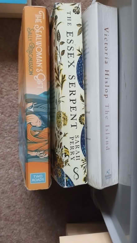 Photo of free Biographies and historical fiction books (Ware SG12) #2