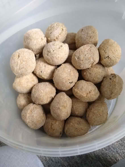 Photo of free Tub of fat balls (Emsworth PO10) #2