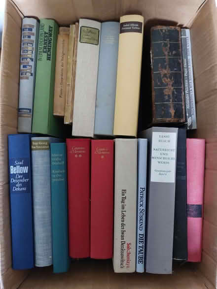 Photo of free 3 boxes of vintage German-language books (Seven Dials BN1) #1