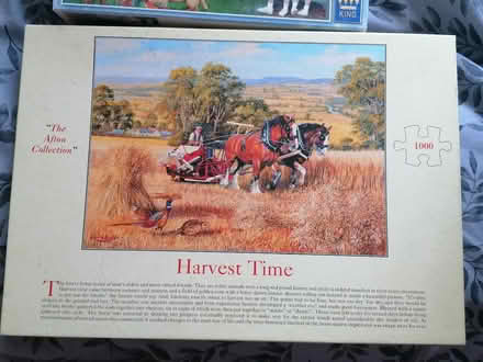 Photo of free 3 puzzles (Presteigne LD8) #2