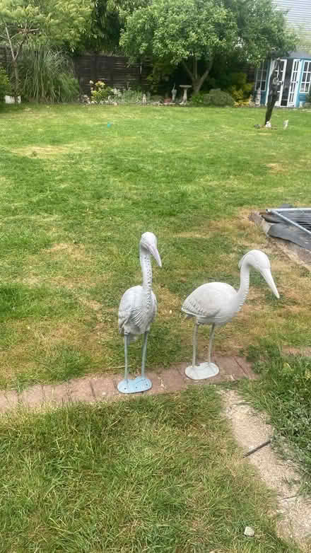 Photo of free Plastic Herons (High Wycombe) #1