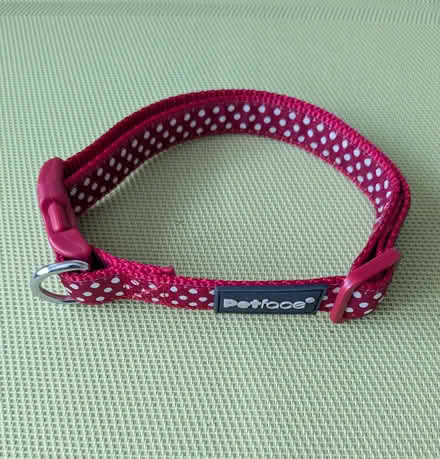 Photo of free Medium Dog Collar (Beulah Hill SE19) #1