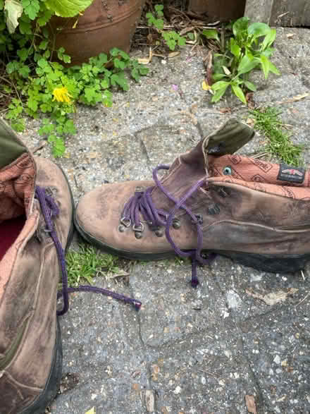 Photo of free Walking boots (Lee green) #2