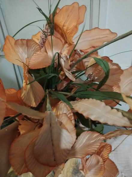 Photo of free Artificial flowers (Croydon) #3