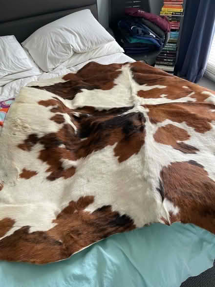 Photo of free Cow hide floor rug (Queen's Park BN2) #1