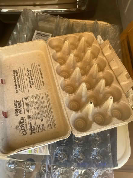 Photo of free Egg cartons-10 pieces (Los Altos hills) #2