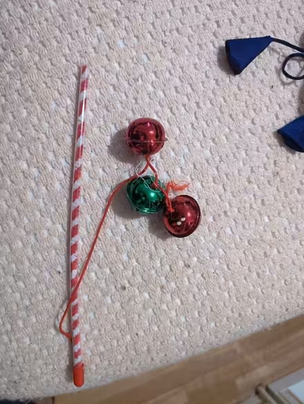 Photo of free Cat toy (Colchester CO1) #1