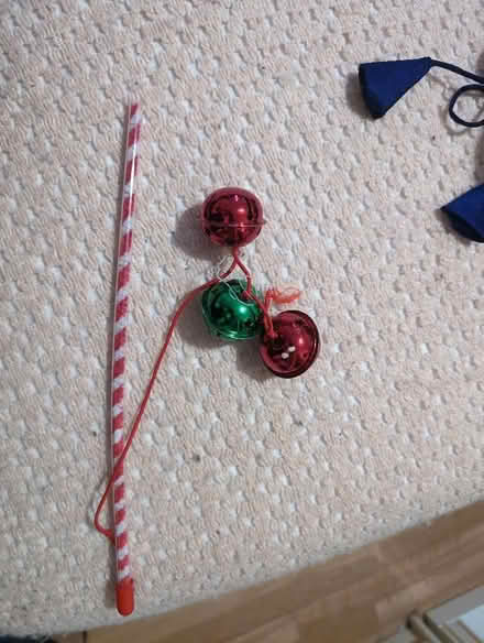 Photo of free Cat toy (Colchester CO1) #1