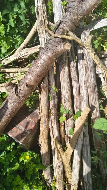 Photo of free Pile of weathered and worn chestnut fence posts (Bidborough TN3) #1