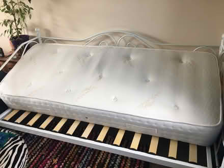 Photo of free Narrow single mattress (Newhaven BN9) #1