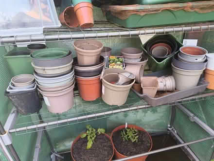 Photo of free Plant pots (Highfield S2) #1