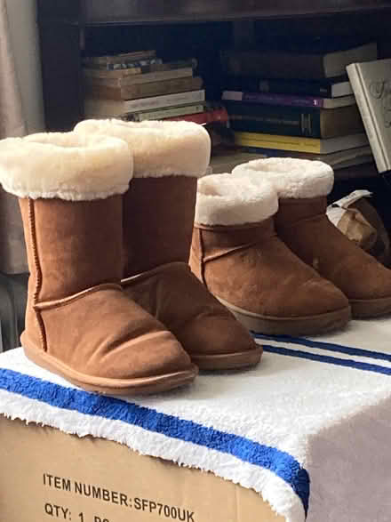 Photo of free Suede ladies Boots 🥾 (Buckland TQ12) #1