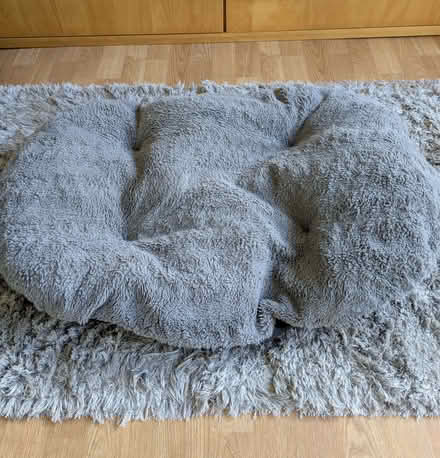 Photo of free Grey Pet Cushion (Beulah Hill SE19) #1