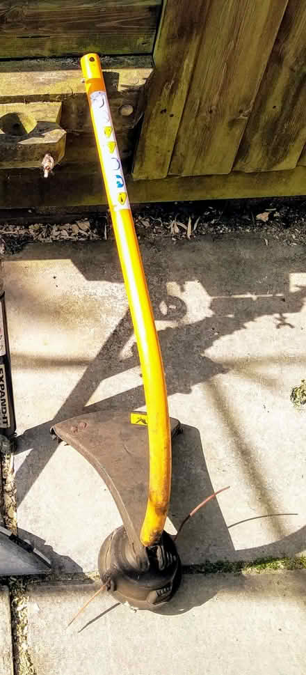 Photo of free Ryobi strimmer with bump stop and some kine (Howey LD1) #1