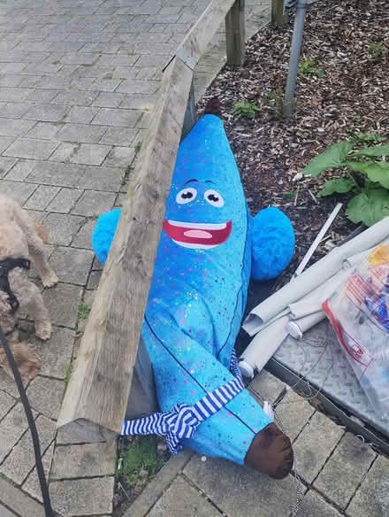 Photo of free Toy+blinds (E3 2fg approx) #3