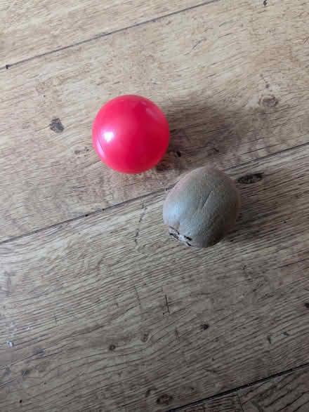 Photo of free Plastic balls (Hove Green BN3) #2
