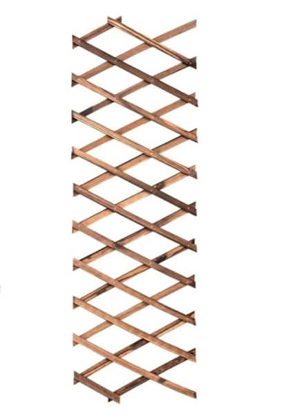 Photo of Garden Trellis (CT15) #1