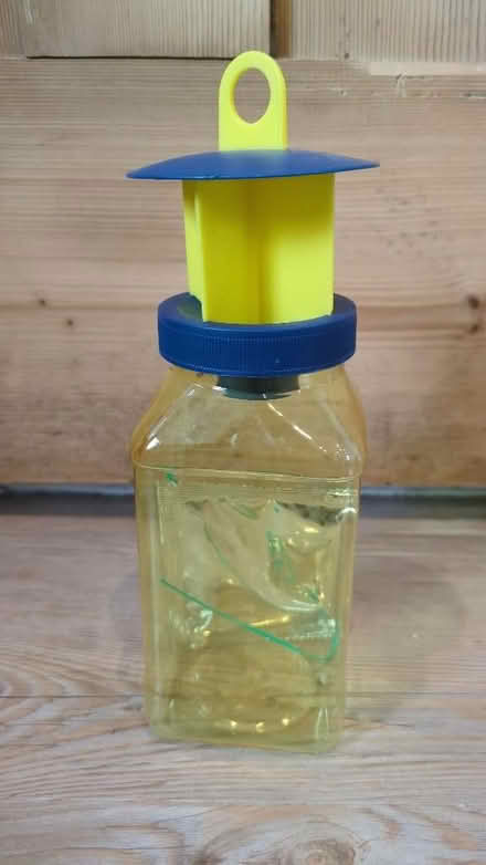 Photo of free Wasp trap (Kendal LA9) #1