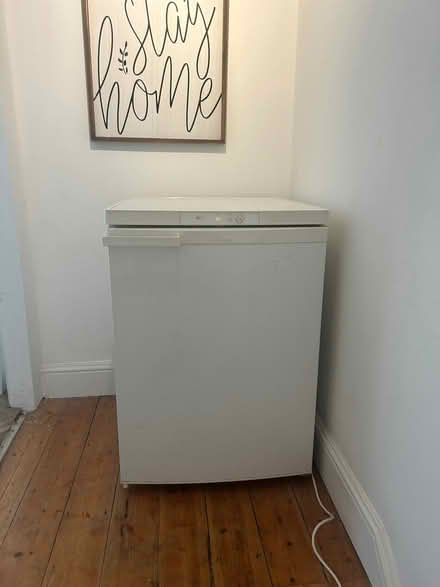 Photo of free Fridge (Honor Oak SE23) #4