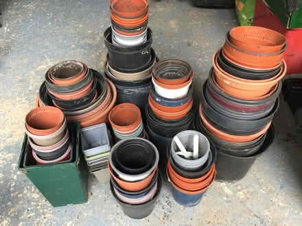 Photo of free Assorted plastic flowerpots (Connor Downs) #1