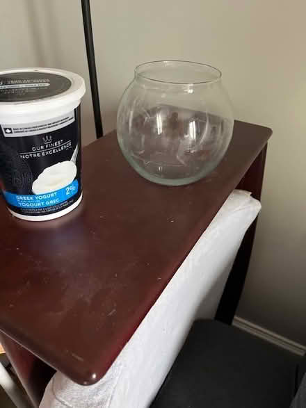 Photo of free Rounded shortish vase (Golden Triangle) #1