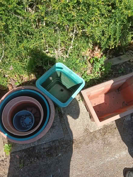 Photo of free Plastic plant pots, watering can. Knaresborough (Knaresborough HG5) #2