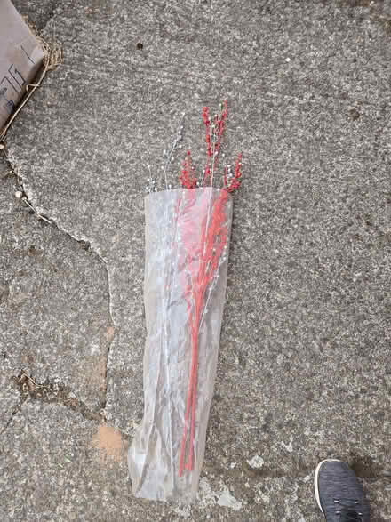 Photo of free Decorative items (Ightfield SY13) #1