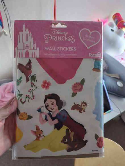 Photo of free Disney princess wall stickers (Temple Rhydding BD17) #1