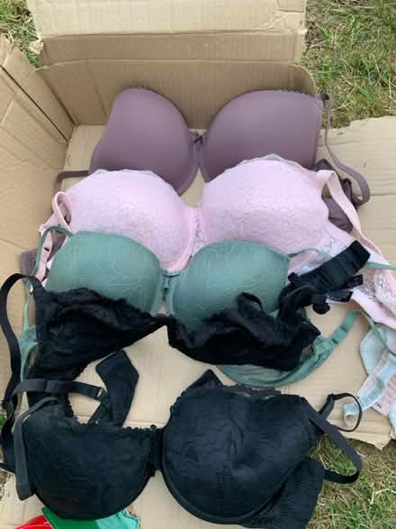 Photo of free Bras and tops (AL2 / SG6) #4