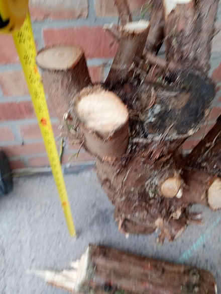 Photo of free Logs (Sherwood NG5) #2
