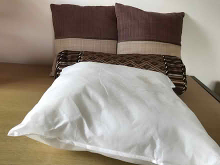 Photo of free Cushions (Coton Hill SY1) #1