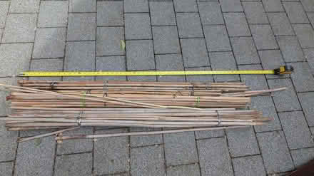 Photo of free garden canes (Bare) #1