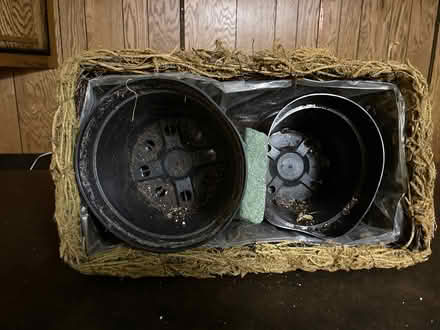 Photo of free Plant basket (Downers Grove - north) #3