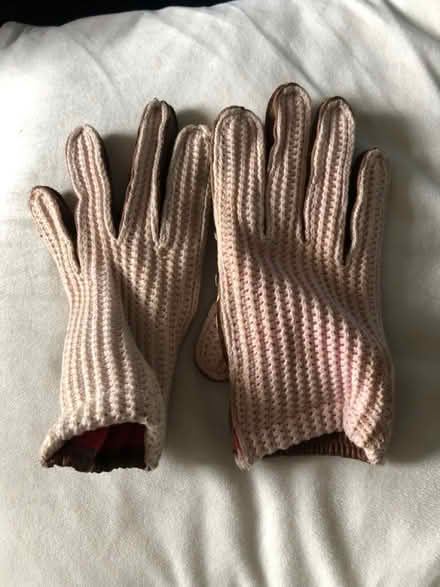 Photo of free Driving Gloves (Westbury Wilts BA13) #1