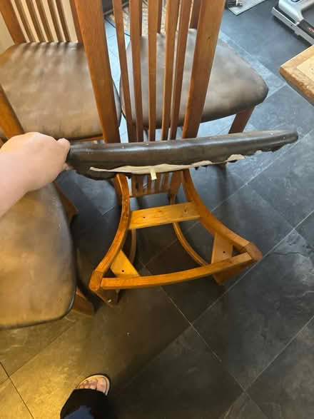 Photo of free Dining chairs 6 (Bolton) #4