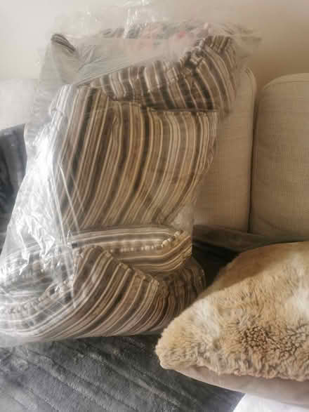 Photo of free Cushions (Idle BD10) #2