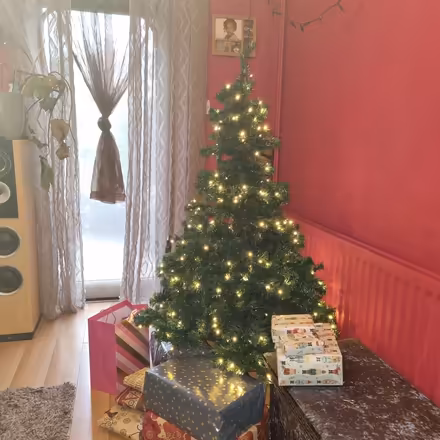 Photo of free Fibre Optic Christmas Tree (Beckton E6) #1