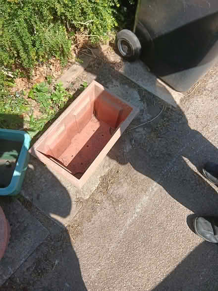 Photo of free Plastic plant pots, watering can. Knaresborough (Knaresborough HG5) #1