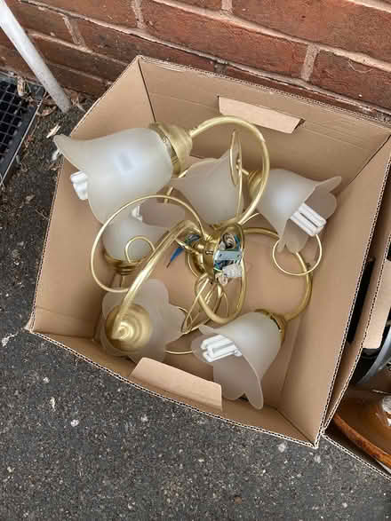 Photo of free ceiling lights and fan lights (Trowbridge BA14) #4