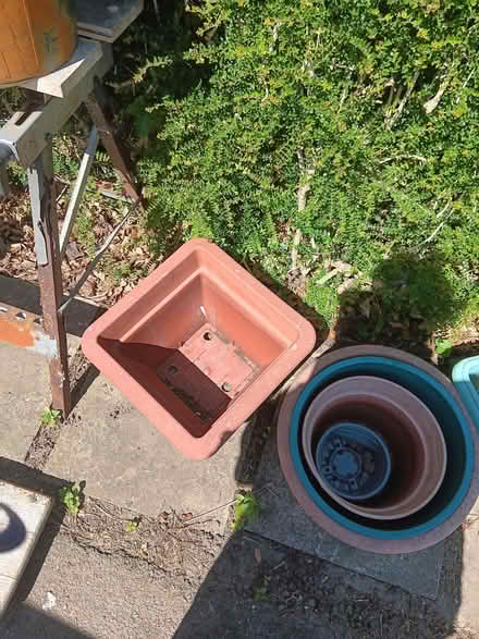 Photo of free Plastic plant pots, watering can. Knaresborough (Knaresborough HG5) #3
